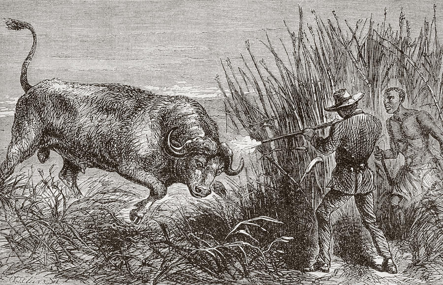 african hunter drawing