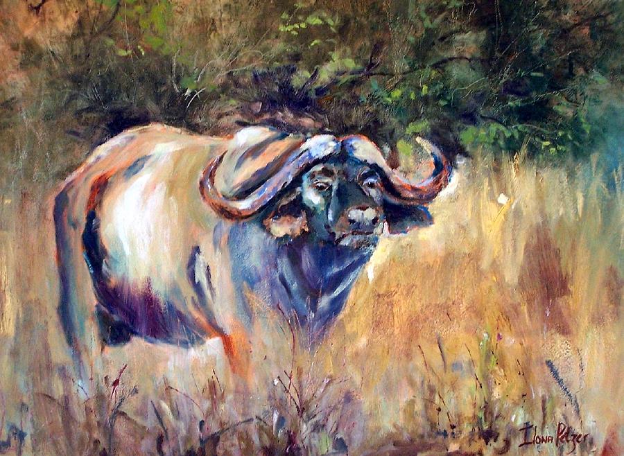 Buffalo Painting by Ilona Petzer