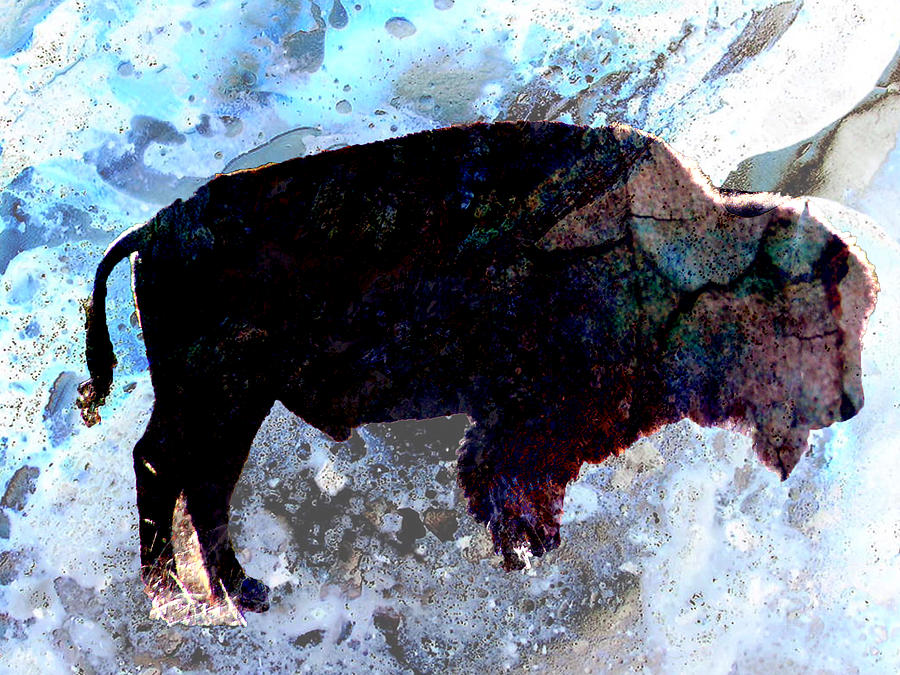 Buffalo in the Misty Digital Art by Cathy Anderson