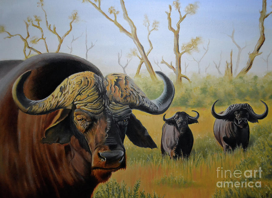 Buffalo Painting by Johan Van Greunen Pixels