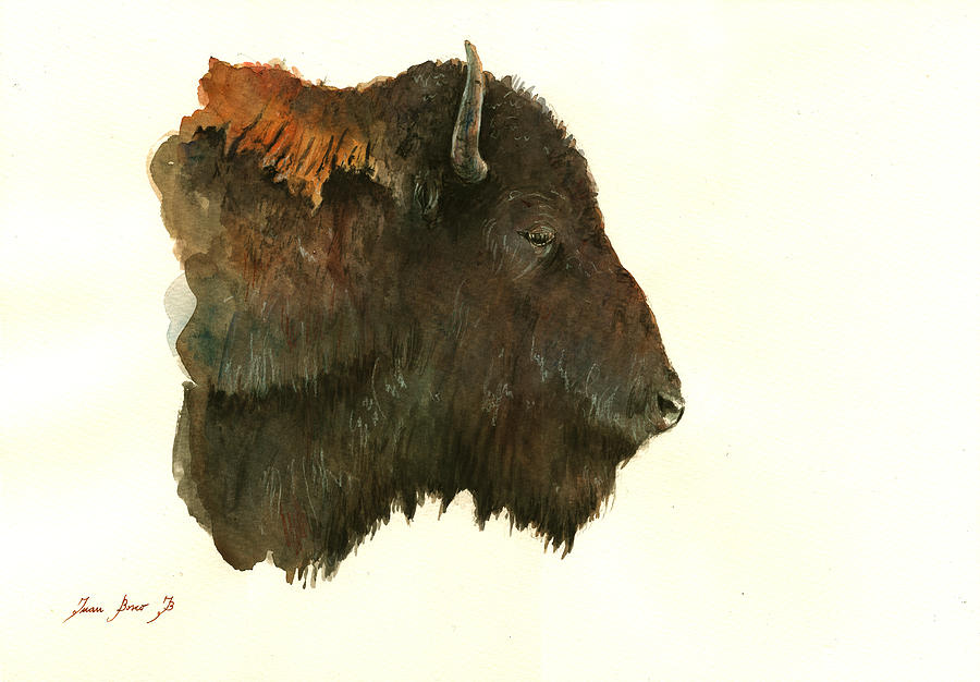 Bison Painting - Buffalo Portrait Head by Juan  Bosco