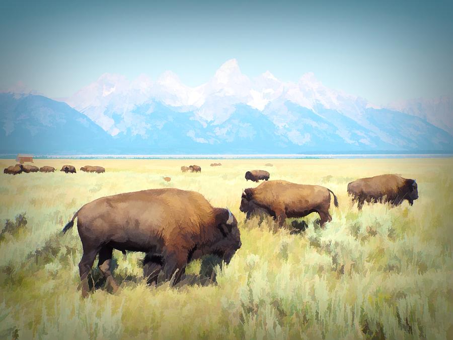 Bison Digital Art - Buffalo Roam, Smokey Grand Tetons, Wyoming by Joseph Hendrix