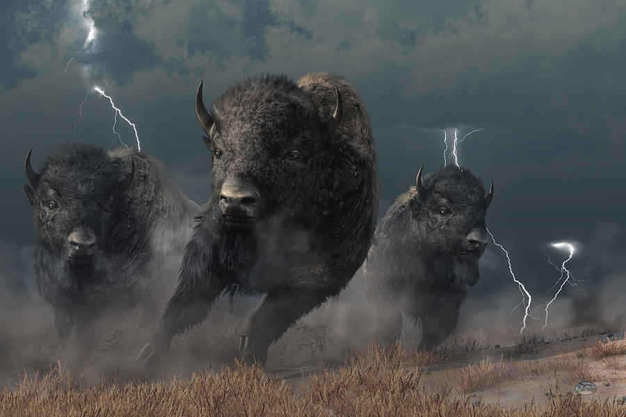 Buffalo Storm Digital Art by Daniel Eskridge