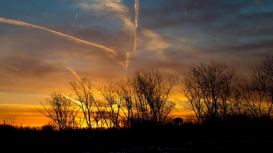 Buffalo Sunrise 2907 Photograph by Guy Whiteley