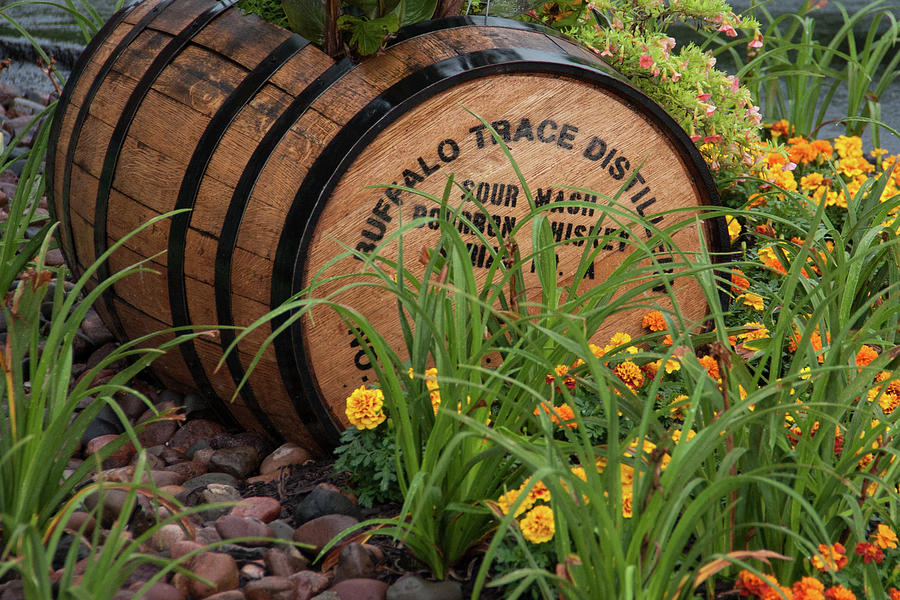 Buffalo Trace Barrel Photograph by John Daly