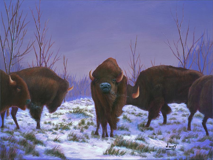 Buffalo Winter Painting by David Jewell