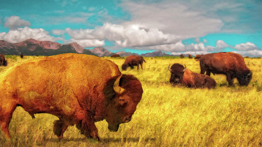 Buffalos on the Range Mixed Media by Sandra Selle Rodriguez