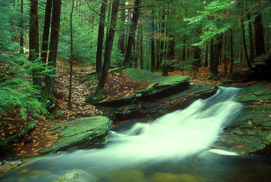 Buffam Brook Waterfall Photograph by John Burk - Fine Art America