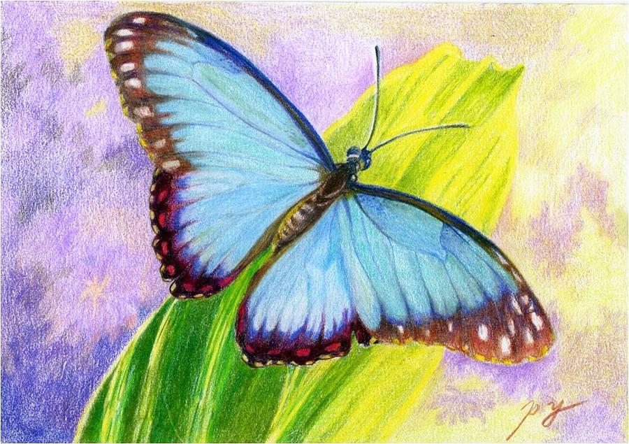 Bufferfly Painting by Ping Yan