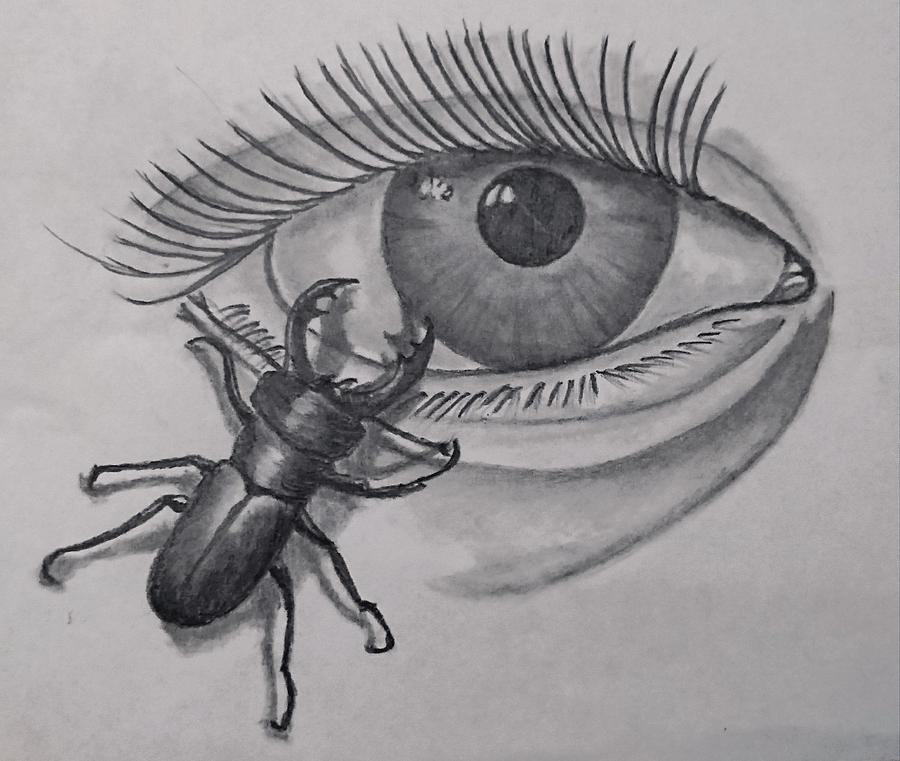 Bug eye Drawing by James Lynch