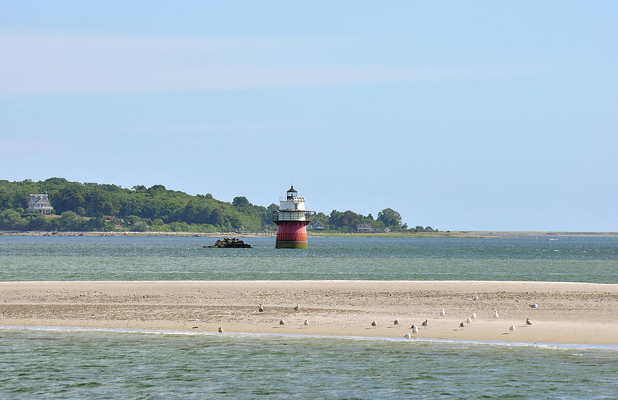 Bug Light by Joanne Brown Bug Light by Joanne Brown
