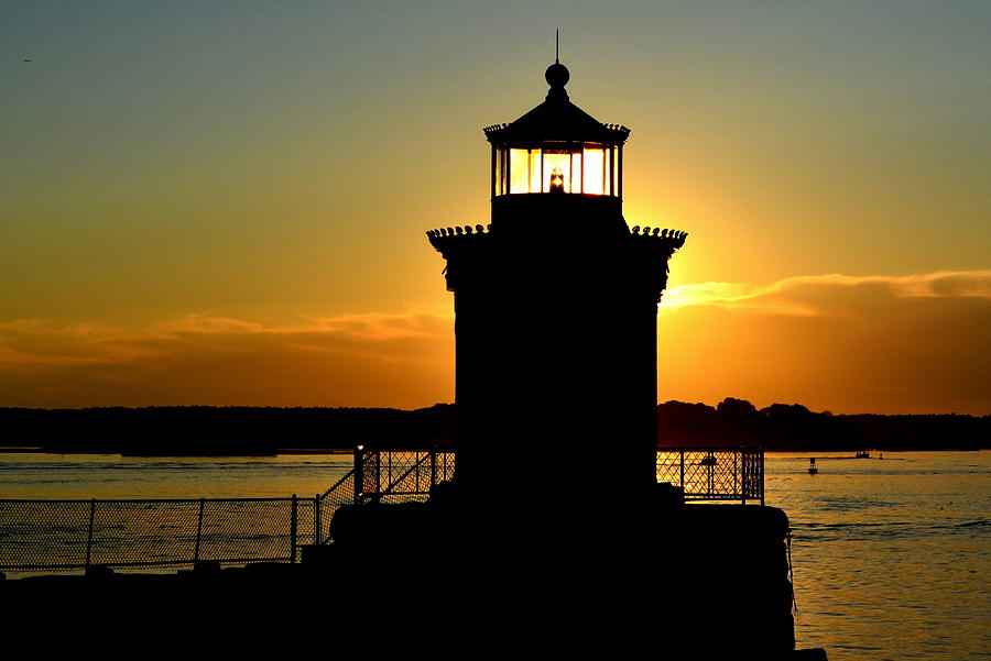 Sunset Photograph - Bug Light Silhouette by Colleen Phaedra