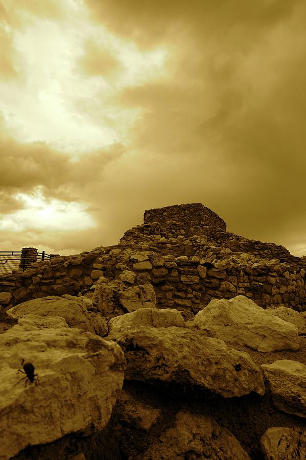 Bug On the Ruins Photograph by Elizabeth Jeffries - Fine Art America