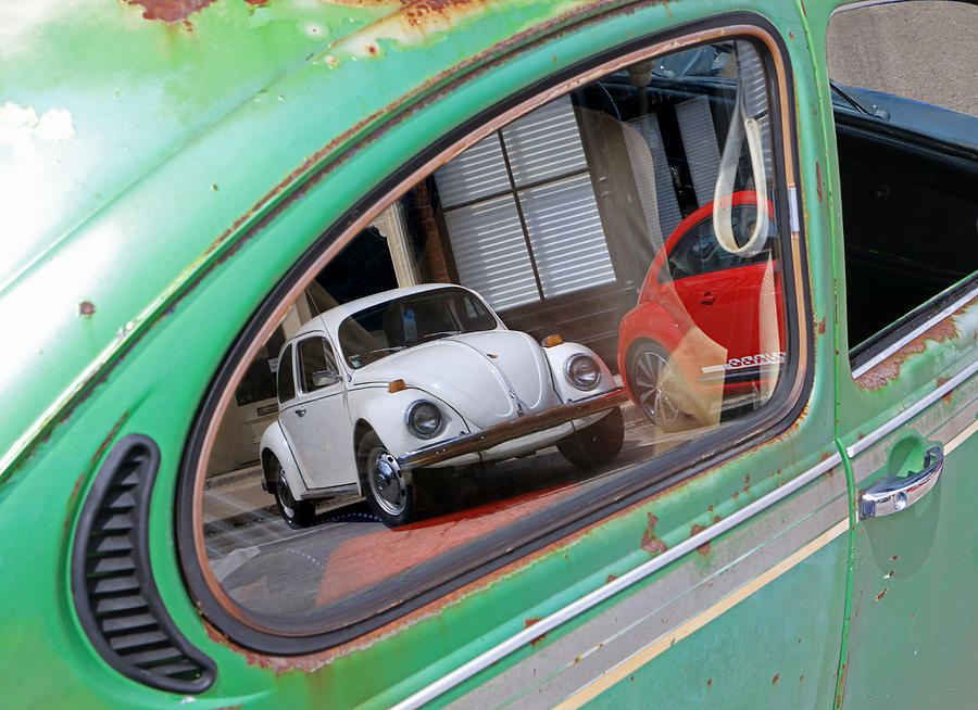 Bug Reflections Photograph by Christopher McKenzie