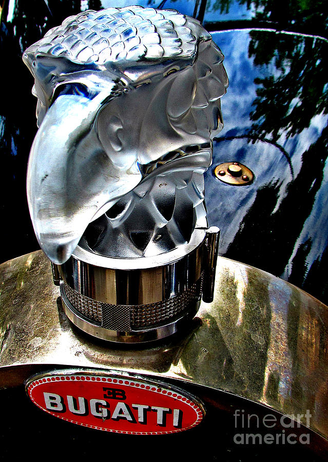 Bugatti glass falcon Photograph by Alexa Szlavics