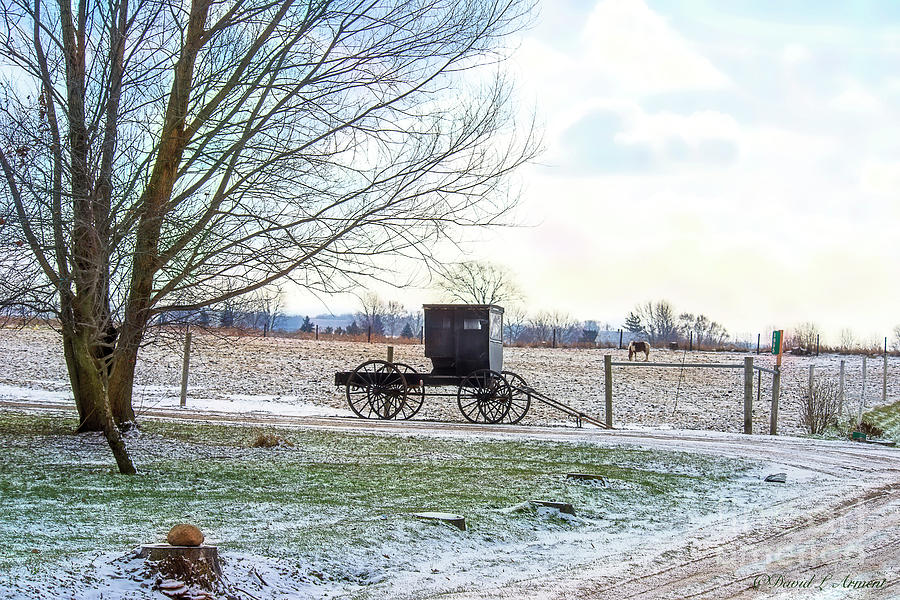 Buggy Alone in Winter Photograph by David Arment