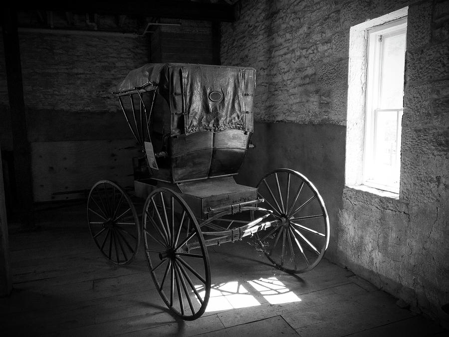 Buggy on Parade by Josh Spengler Buggy on Parade by Josh Spengler