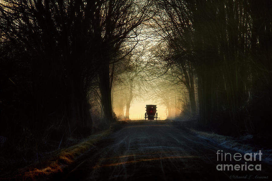 Buggy on Tree Lined Road Horizontal Photograph by David Arment