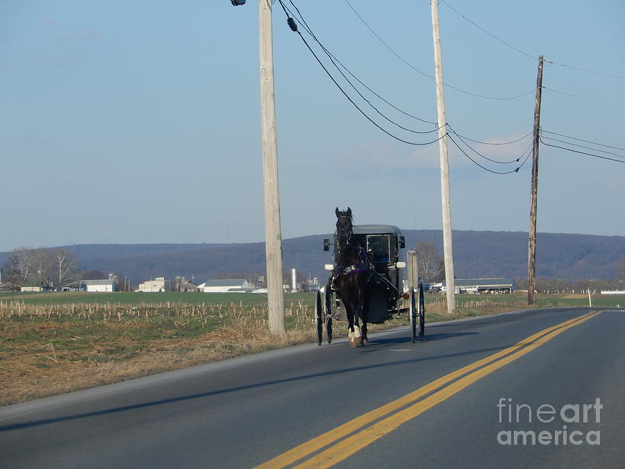 Buggy Ride Photograph by Christine Clark