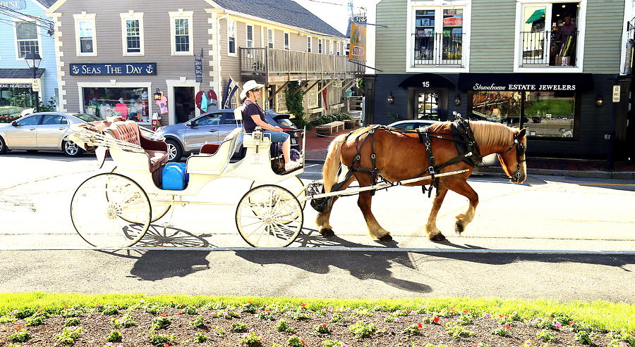 Buggy ride Kennebunkport Maine Photograph by Imagery-at- Work