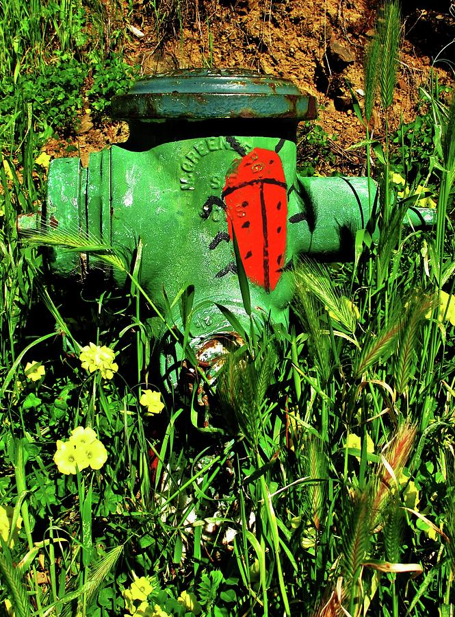 Buggy The Hydrant Photograph by John King I I I