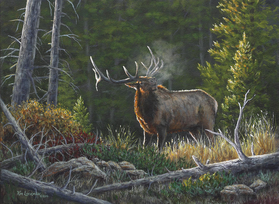 Bugling Bull Painting by Kim Lockman