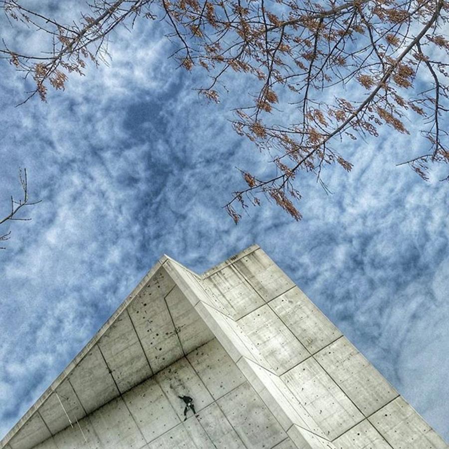 Sports Photograph - Bug
#skylovers #sky #climbing by Rafa Rivas