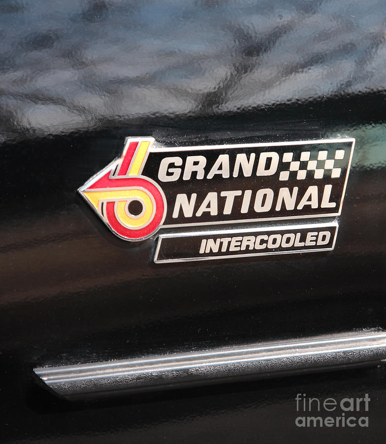 Buick Grand National Emblem Photograph by William Kuta