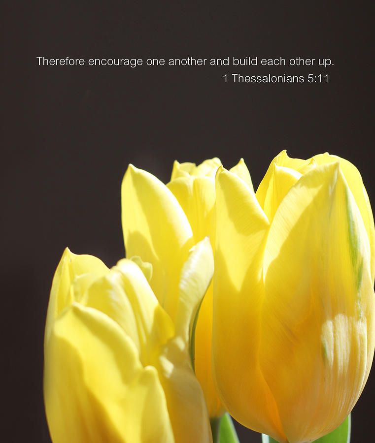 Build Each Other Up Tulips Photograph by Inspired Arts