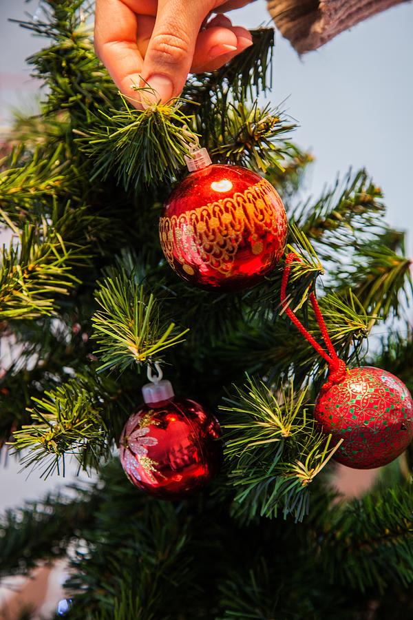 Building christmas tree Photograph by Leonardo Patrizi - Pixels