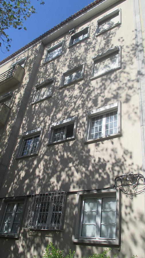 Old Building Photograph - Building with shadows of the trees in Lisbon by Anamarija Marinovic