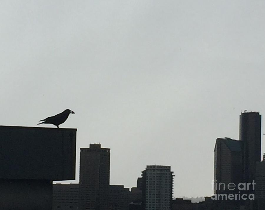 Crow Photograph - Buildings and Bird by LeLa Becker