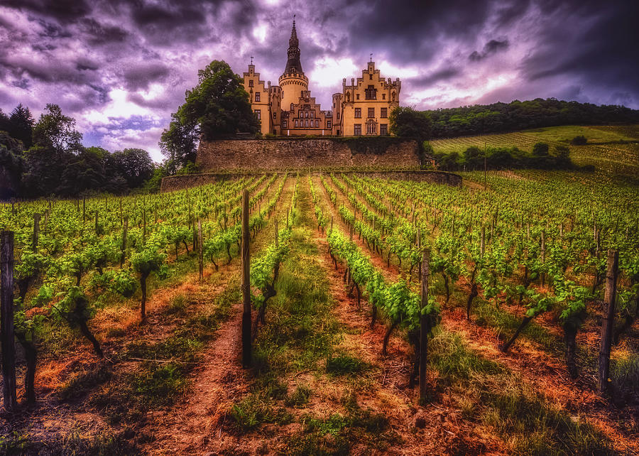 Built on wine Photograph by Hans Zimmer