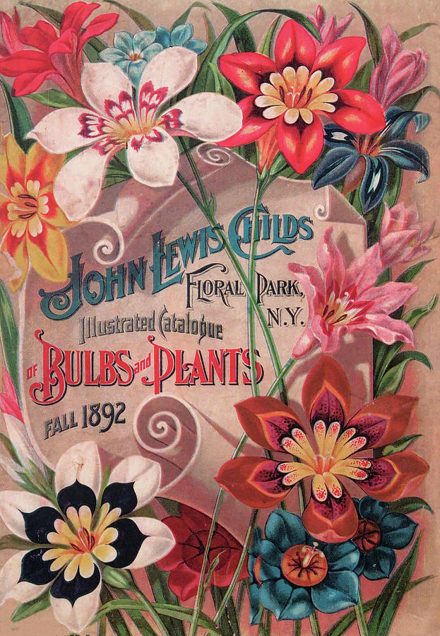 Bulbs And Plants Catalog Cover Photograph by Dave Mills