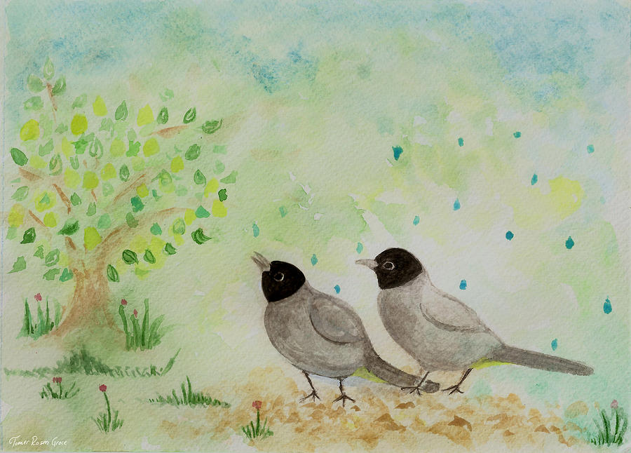 Wildlife Painting - Bulbul Birds in the Rain by Tomer Rosen Grace