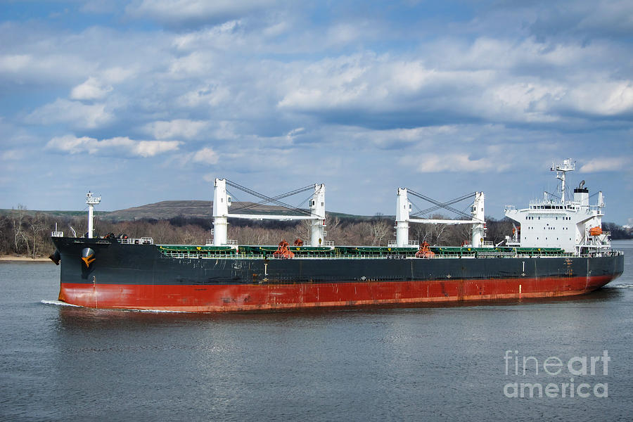 Bulk Carrier Cargo Ship Sailing on River Photograph by Olivier Le Queinec