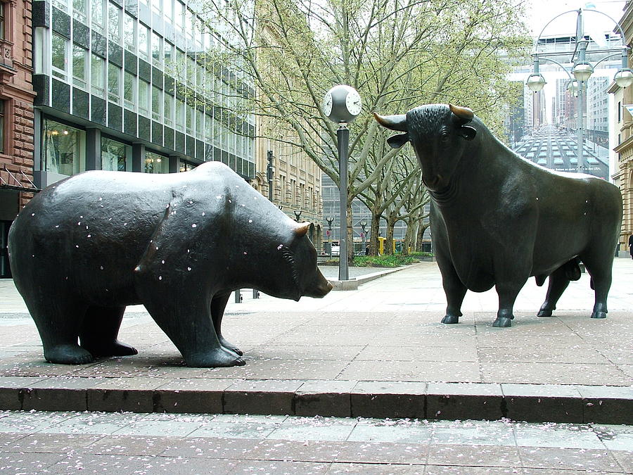 Bull Photograph - Bull and Bear by Martina Fagan
