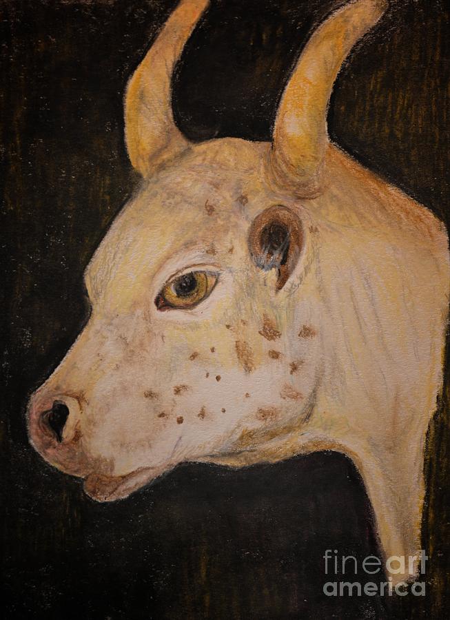 Bull Calf - Pastels Pastel by Maria Urso
