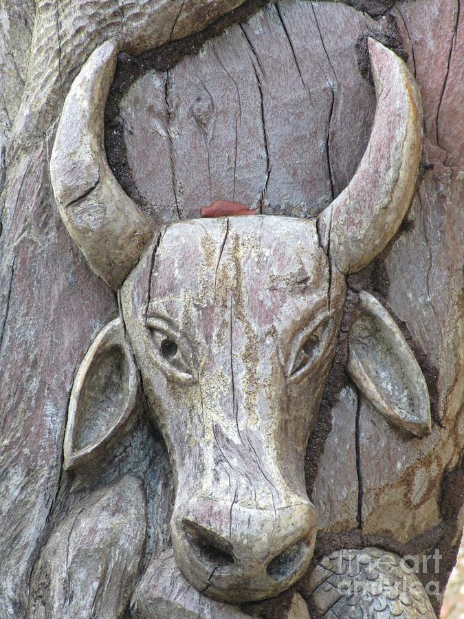 Bull Photograph - Bull Carved in Tree by John Malone
