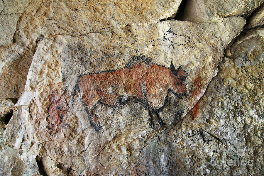 Bull - Cave painting in prehistoric style Photograph by Michal Boubin