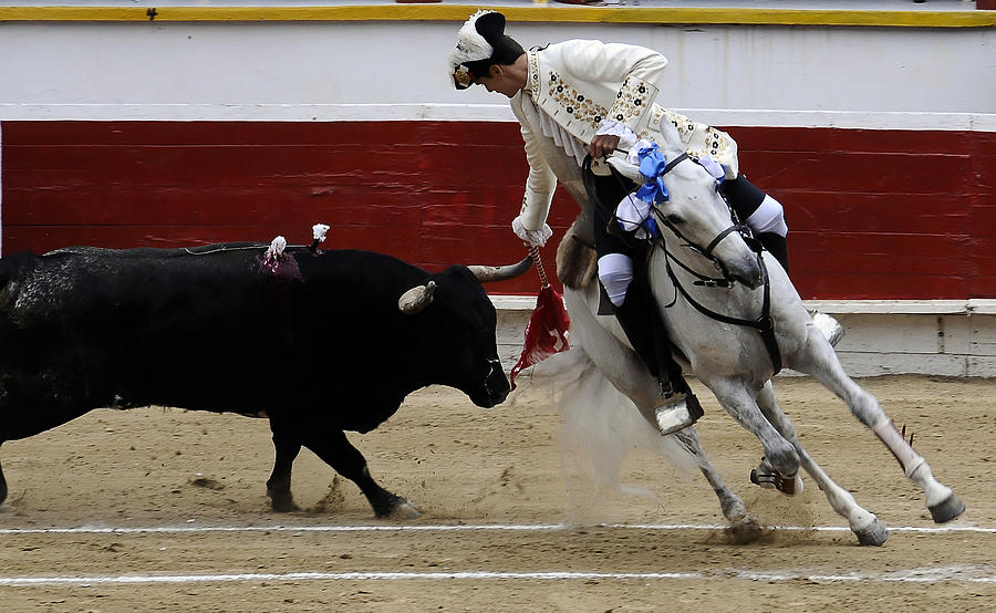 Bull Chasing a Rejoneo Photograph by Clarence Alford - Fine Art America