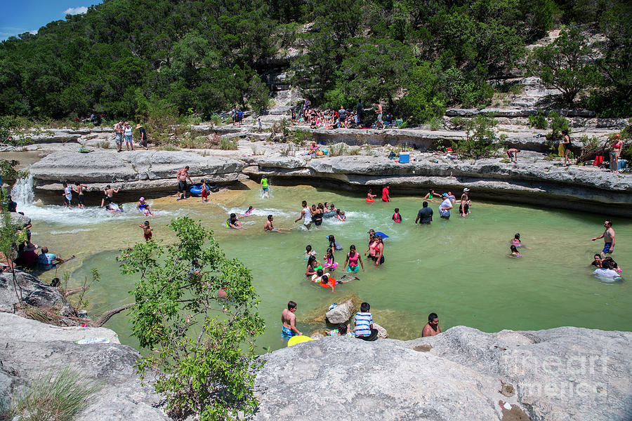 Austin Photograph - Bull Creek is listed as one of Austins best swimming holes and safe from the brutal Texas heat by Dan Herron