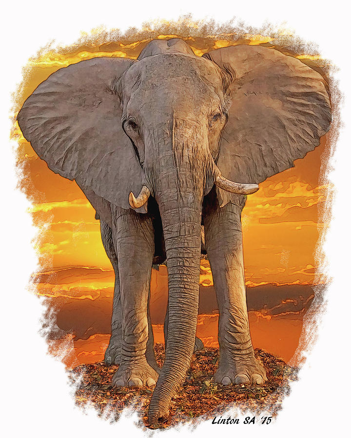 African Bull Elephant Digital Art by Larry Linton
