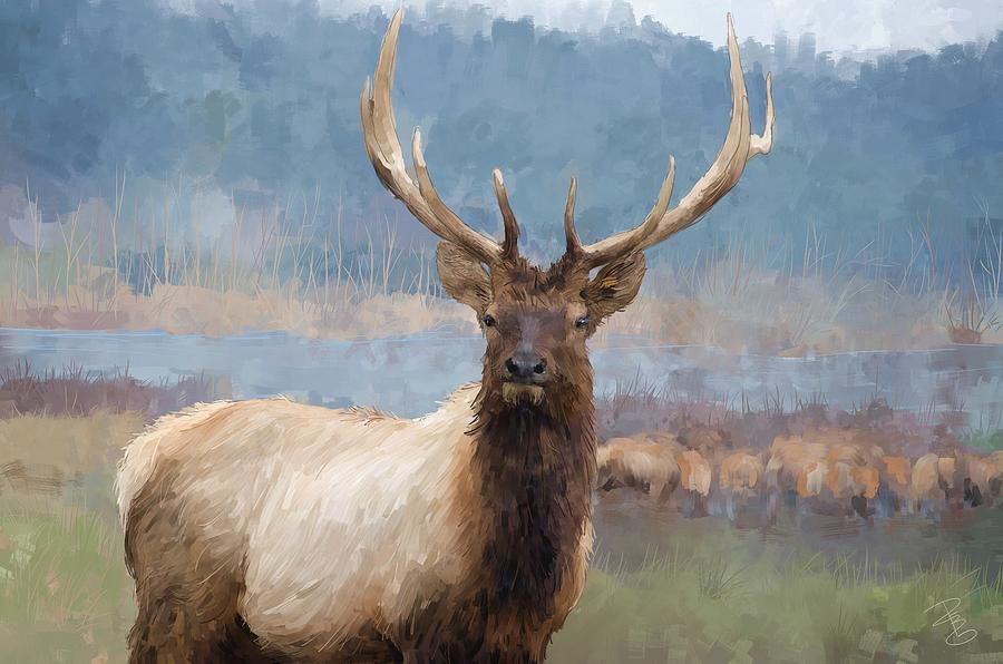 Bull elk by the river Digital Art by Debra Baldwin