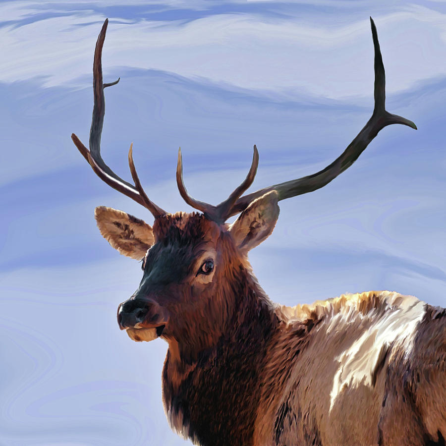 Bull Elk Freehand 1 Painting by Ernest Echols