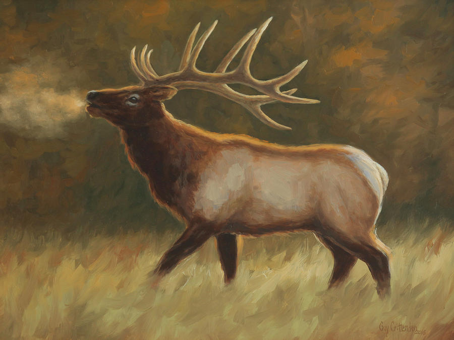 Bull Elk Painting by Guy Crittenden