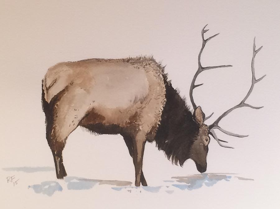 Bull Elk Painting by Robert Fugate