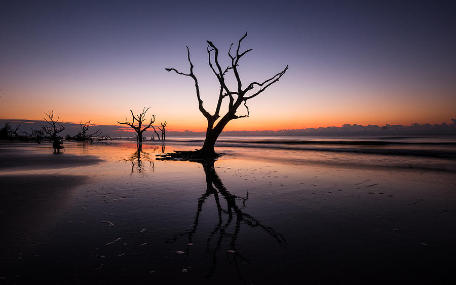 Bull Island Shooter, Charleston SC by Tommy White Bull Island Shooter, Charleston SC by Tommy White