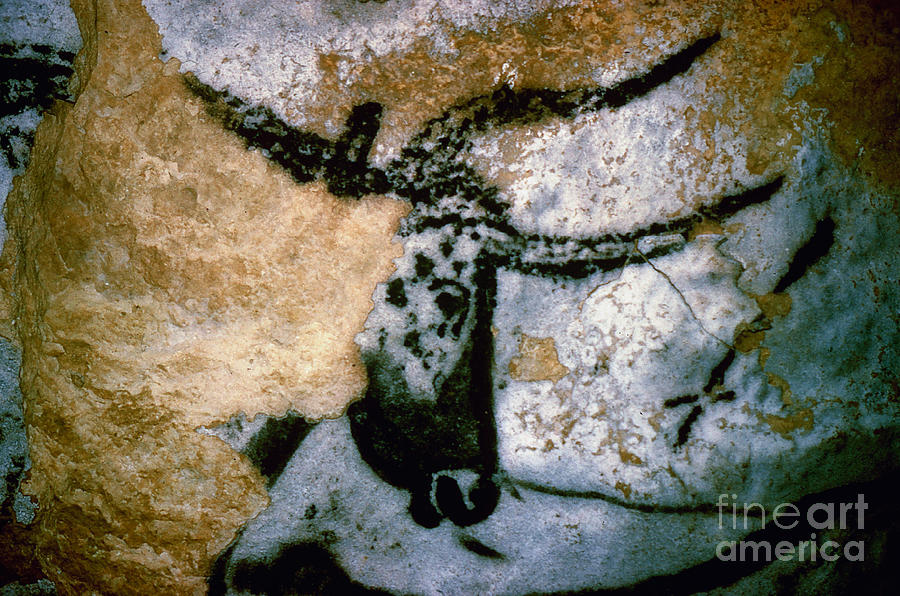 Bull - Cave Of Lascaux, France Painting by Granger