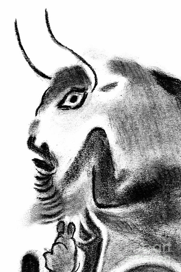 Bull Drawing by Michal Boubin